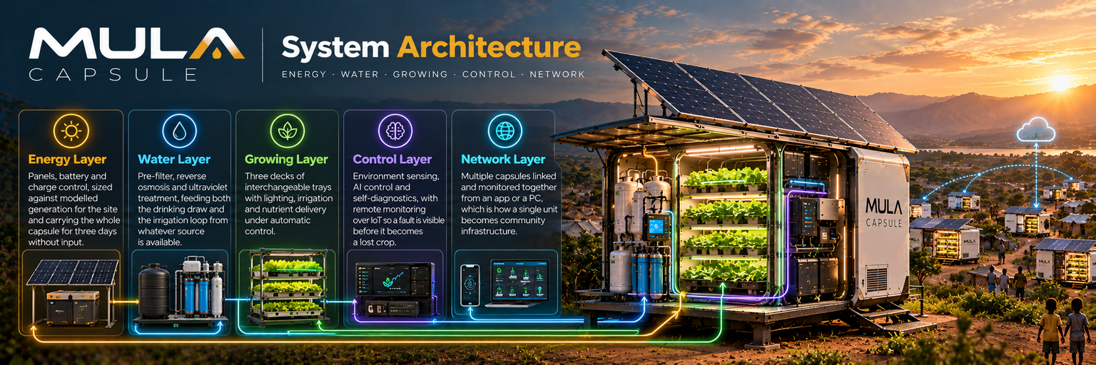 MULA CAPSULE System Architecture