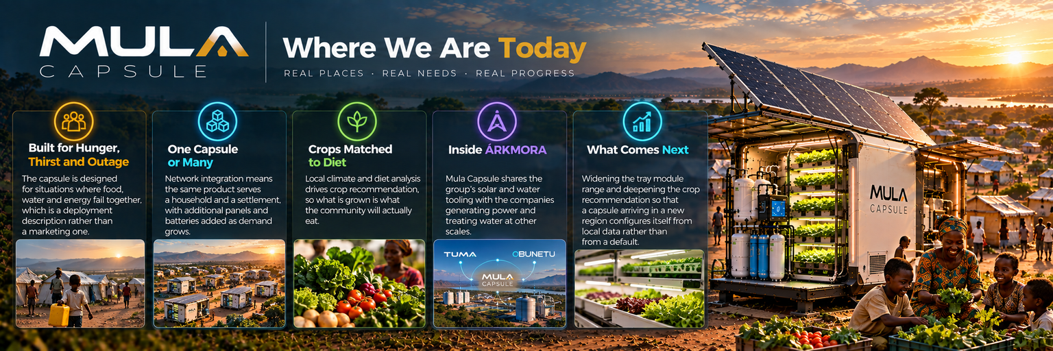 MULA CAPSULE Where We Are Today