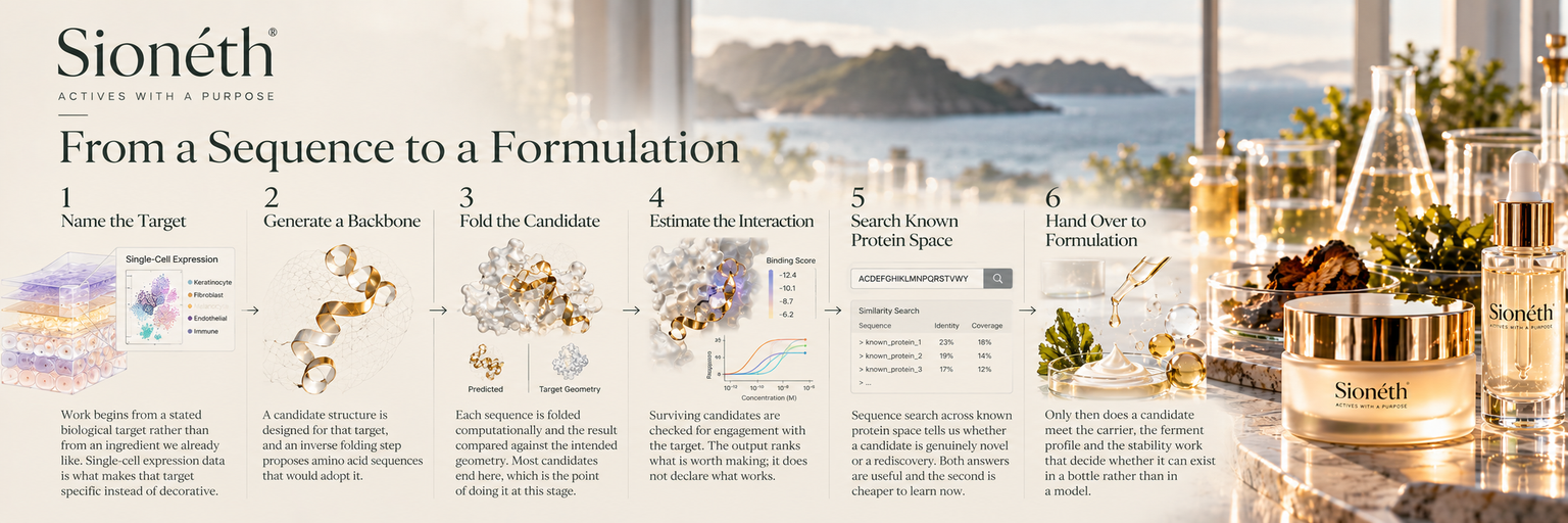 SIONÉTH From a Sequence to a Formulation